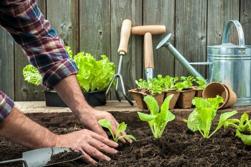 Inspector reviewing garden work documentation