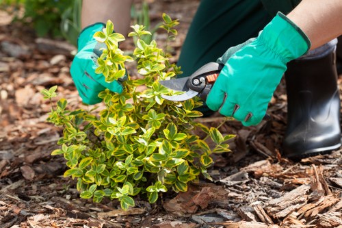 On-site risk assessment for gardening work