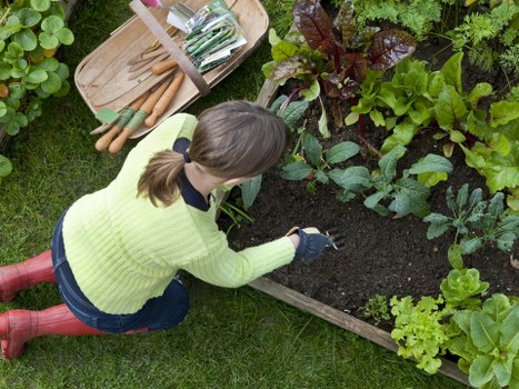Man and van preparing for green waste removal from a semi-detached garden
