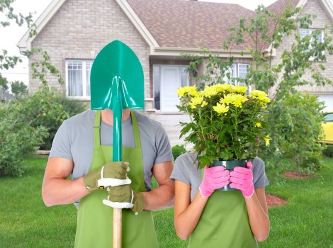 Gardener assessing a landscaped bed during investigation