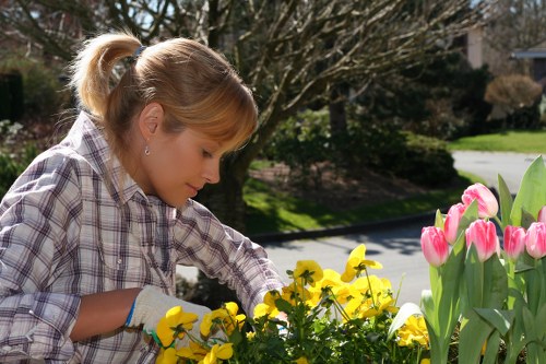 Crew pruning shrubs in a terraced house garden near shopping area